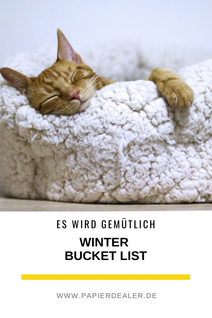 Pinterest-Pin: Es wird gemütlich - Winter Bucket List