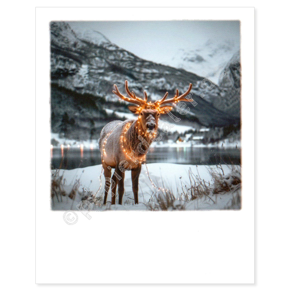 Elch mit Lichterkette