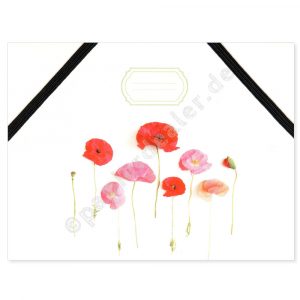 Mohnblumen