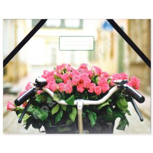 Fahrradkorb mit Rosen