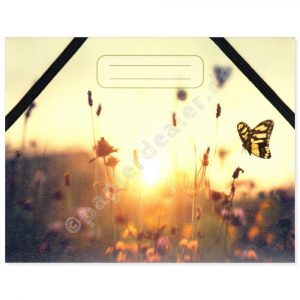 Schmetterling